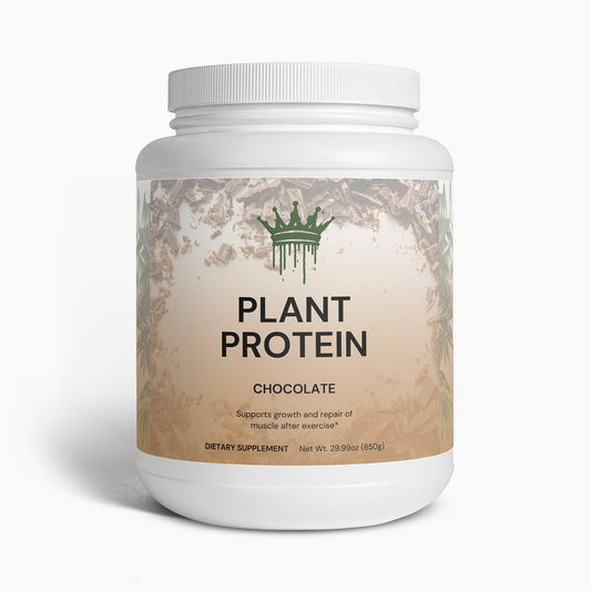 Plant Protein (Chocolate)